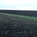 На росії почали продавати вкрадений в Україні плодородний чорнозем