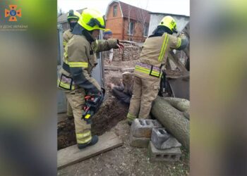 У Кривому Розі надзвичайники врятували чоловіка, якого привалило деревом