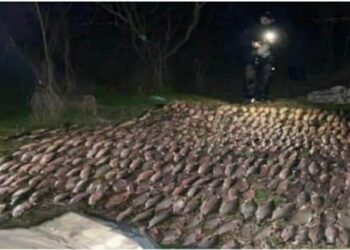 На Криворіжжі браконьєр виловив риби та раків на понад мільйон гривень