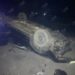 На в’їзді до Кривого Рогу авто врізалося у блокпост і перекинулося: водій загинув