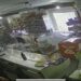 У Дніпрі за крадіжку з продуктвого магазина затримано раніше судимого чоловіка