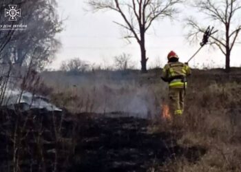 У Синельниківському районі дідусь впав у вогонь, коли палив сухостій
