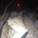 Вночі ЗСУ знищили в українському небі два “шахеди”