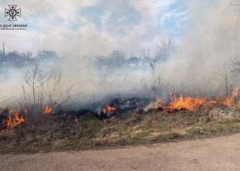 На Дніпропетровщині за минулу добу сталося 48 пожеж в екосистемах