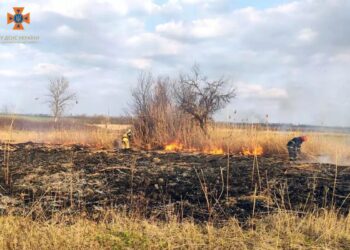 У Синельниківському районі внаслідок пожежі в екосистемі постраждав літній чоловік