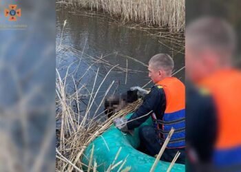 Зі ставка у Синельниківському районі дістали потопельника