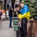 Ніч на Дніпропетровщині пройшла без ворожих обстрілів