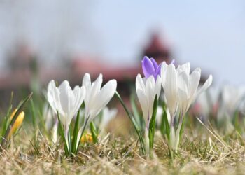 Ніч на Дніпропетровщині пройшла без обстрілів.
