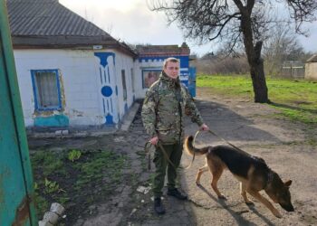 У Павлоградському районі службовий собака допоміг затримати зловмисника