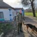 У Павлоградському районі службовий собака допоміг затримати зловмисника