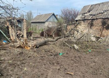 Поліція показала фото з обстріляної на Великдень Нікопольщини