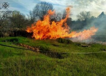 За добу рятувальники  15 разів боролися із пожежами в екосистемах