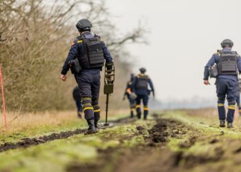 На Дніпропетровщині піротехніки завершили обстеження сільгоспугідь