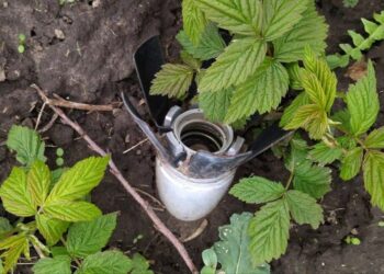 Мешканців Нікопольщини закликають утриматись від відвідування кладовищ у поминальні дні