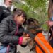 У Мережі показали зворушливе відео першої зустрічі на лікарняному подвір’ї пораненої кінологині Лариси Борисенко та її вірного пошукового пса Спаркі
