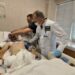 Просто розриває серце: ще одна історія порятунку пораненого на війні від дніпровських лікарів