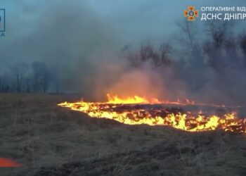 3 початку року майже 600 гектарів екосистем постраждали через пожежі на Дніпропетровщині
