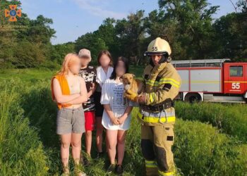 Хвилинка добра: у Синельниківському районі з покинутої ями врятували цуценя
