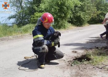 Хвилинка добра: у Верхньодніпровську з пастки визволили собаку