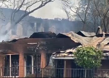 З-під завалів будівлі ветклініки дістали тіло загиблого чоловіка