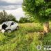 У Первомайську внаслідок зіткнення із деревом загинув водій автівки