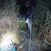 У Дніпрі з озера Курячого водолази-рятувальники дістали  загиблу жінку