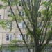 Одна людина загинула та дві поранено: у поліції повідомили подробиці обстрілу Нікополя