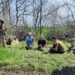 Вирубали лісу на майже 2 мільйони гривень: на Дніпропетровщині викрили «чорних лісорубів»