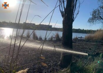 У Кривому Розі внаслідок пожежі на березі річки постраждало двоє дітей