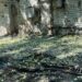 Прокуратура розслідує черговий ворожий обстріл Нікополя