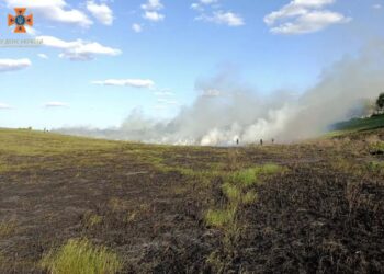 На Дніпропетровщині почастішали пожежі в екосистемах