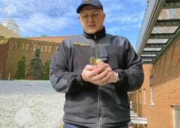 Хвилинка добра: у Дніпрі врятували каченят з 10-метрового колектора