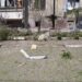 Поліція показала фото після обстрілів Нікополя, під час яких постраждала 46-річна жінка