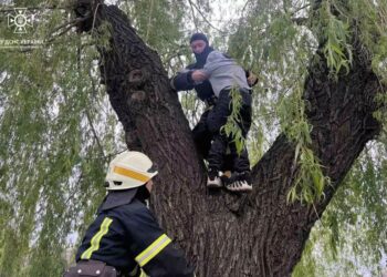У Дніпрі рятувальники допомогли дістати з високого дерева дитину