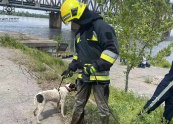 Хвилинка добра: у Дніпрі з чотириметрового колодязя з водою визволили чотирилапого