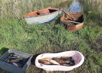 У Криворізькому районі упіймали рибалку-бракон’єра