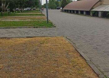 У Дніпрі зелені газони перетворюють на «пустелі»