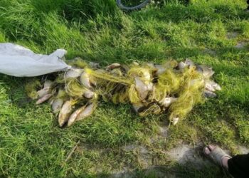 У Дніпрі затримали браконьєрів, які наловили на 150 тисяч гривень