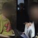 Ліквідували масштабну шахрайську схему на Дніпропетровщині