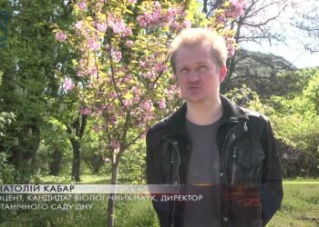 В ботсаду ДНУ розцвіли сакури. Японська екзотика у Дніпрі