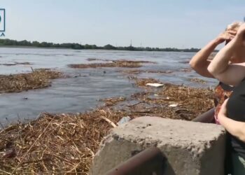 Екологія Херсонщини під загрозою внаслідок підриву Каховської ГЕС