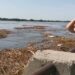 Екологія Херсонщини під загрозою внаслідок підриву Каховської ГЕС