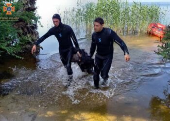 У Камʼянському потонув 40-річний чоловік
