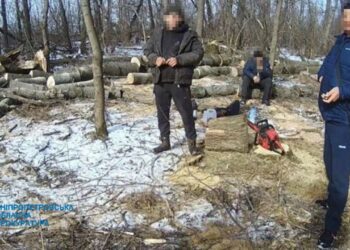 Нарубали на понад 2,5 млн грн збитків: на Дніпропетровщині судитимуть «чорних» лісорубів
