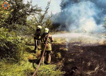 У Нікополі пожежа знищила гектар екосистеми