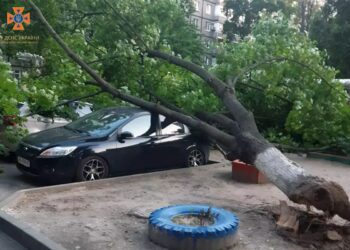 У Дніпрі дерево впало на три автівки