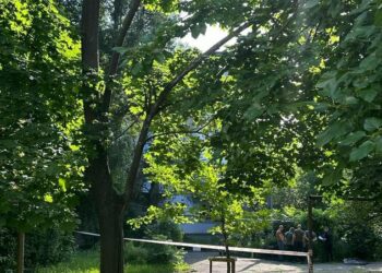 Подробиці від поліції: у Дніпрі затримано вивцю, який задушив жінку та викинув її оголене тіло на вулицю