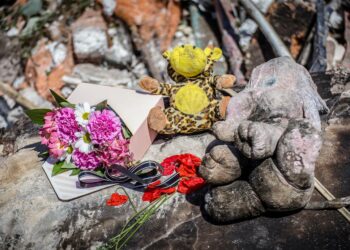 Обгорілі іграшки, книги та розбиті дитячі кімнати: фото з місця трагедії у Підгородному