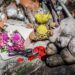 Обгорілі іграшки, книги та розбиті дитячі кімнати: фото з місця трагедії у Підгородному