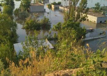 Через підрив рашистами Каховської дамби затоплено єдиний в Україні державний осетровий завод